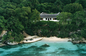 Jamaica Pimento Plant