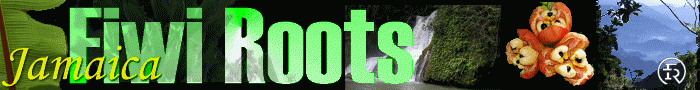 Jamaica Fiwi Roots